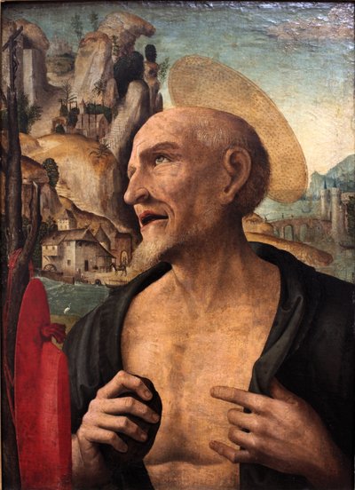 San Girolamo penitente da Gian Francesco de Maineri